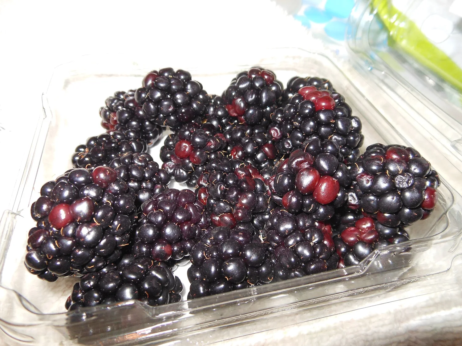 Black raspberry