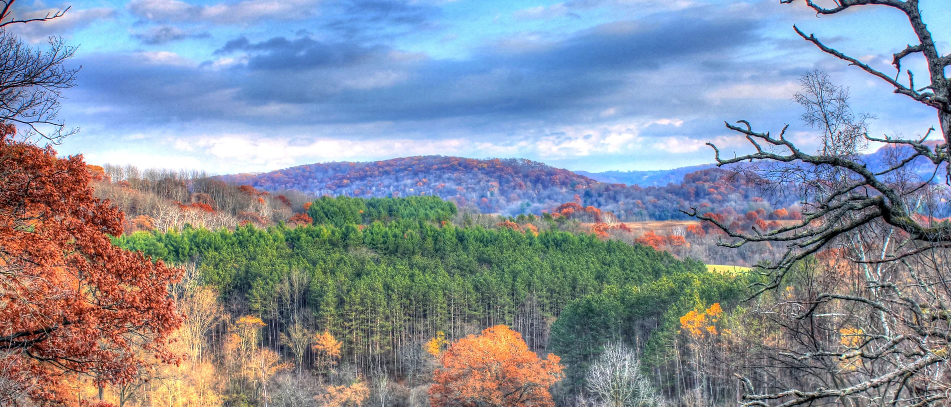 A Wisconsin hardwood forest in October