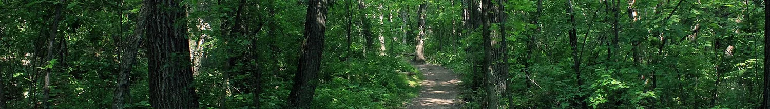 Kettle Moraine State Forest