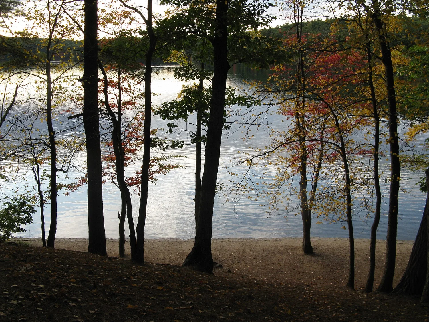 Walden Pond, Concord &mdash; where the idea of this book was first written down